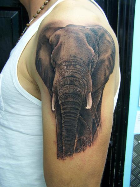 Tattoos - Realistic Elephant Tattoo - 92176
